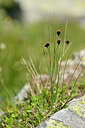 BUITEN BEELD Foto: 445086