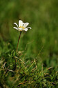 BUITEN BEELD Foto: 445088