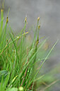 BUITEN BEELD Foto: 445091