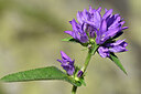 BUITEN BEELD Foto: 445092