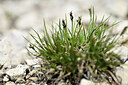 BUITEN BEELD Foto: 445094