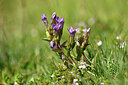 BUITEN BEELD Foto: 445098
