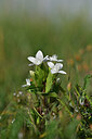 BUITEN BEELD Foto: 445107