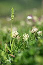 BUITEN BEELD Foto: 445120