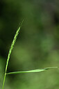 BUITEN BEELD Foto: 445122