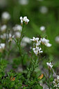 BUITEN BEELD Foto: 445123