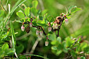 BUITEN BEELD Foto: 445125