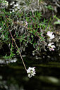 BUITEN BEELD Foto: 445127