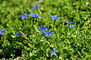 BUITEN BEELD Foto: 445129