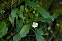 BUITEN BEELD Foto: 445136