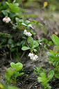BUITEN BEELD Foto: 445137