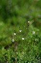 BUITEN BEELD Foto: 445144