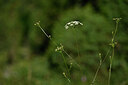 BUITEN BEELD Foto: 445151