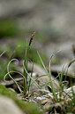 BUITEN BEELD Foto: 445154