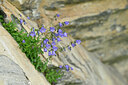 BUITEN BEELD Foto: 445157