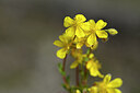 BUITEN BEELD Foto: 445158