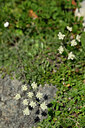BUITEN BEELD Foto: 445159