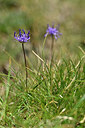 BUITEN BEELD Foto: 445161