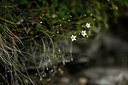 BUITEN BEELD Foto: 445164