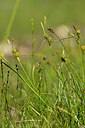 BUITEN BEELD Foto: 445171