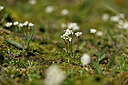 BUITEN BEELD Foto: 445174