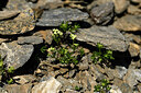 BUITEN BEELD Foto: 445176