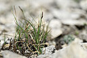 BUITEN BEELD Foto: 445177