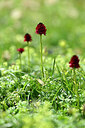 BUITEN BEELD Foto: 445179