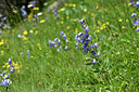 BUITEN BEELD Foto: 445183