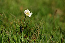 BUITEN BEELD Foto: 445184
