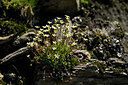 BUITEN BEELD Foto: 445186