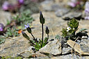 BUITEN BEELD Foto: 445192