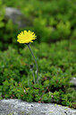 BUITEN BEELD Foto: 445196