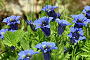 BUITEN BEELD Foto: 445198