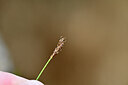 BUITEN BEELD Foto: 445207