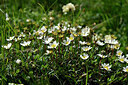 BUITEN BEELD Foto: 445208