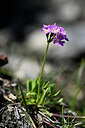 BUITEN BEELD Foto: 445211