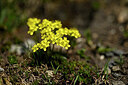 BUITEN BEELD Foto: 445212