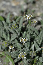 BUITEN BEELD Foto: 445218