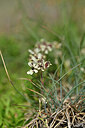BUITEN BEELD Foto: 445221