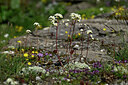 BUITEN BEELD Foto: 445222