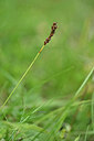 BUITEN BEELD Foto: 445223