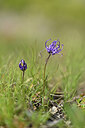 BUITEN BEELD Foto: 445226