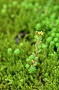 BUITEN BEELD Foto: 445232