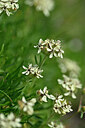 BUITEN BEELD Foto: 445241