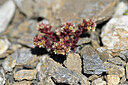BUITEN BEELD Foto: 445246