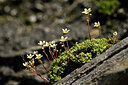 BUITEN BEELD Foto: 445249