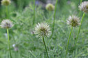 BUITEN BEELD Foto: 445252