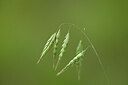 BUITEN BEELD Foto: 445253
