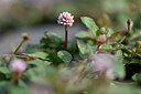 BUITEN BEELD Foto: 445254